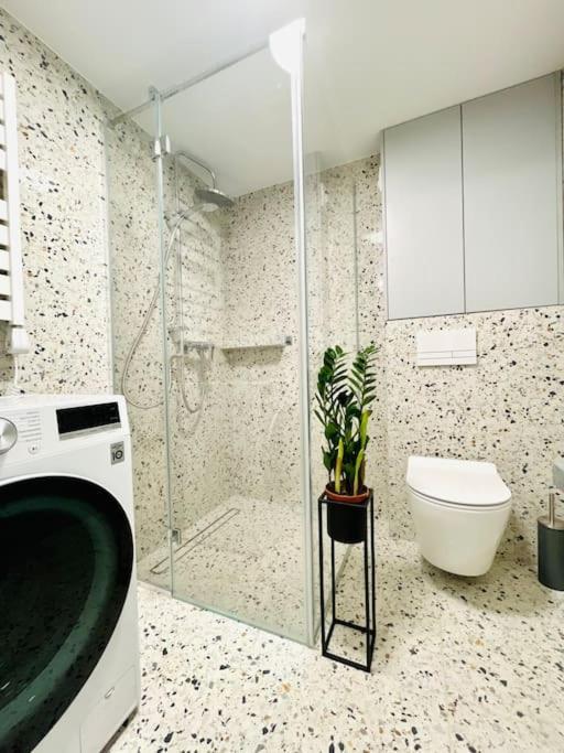 Apartament Piccolo Bielsko-Biała Esterno foto