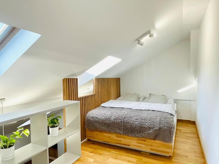 Apartament Piccolo Bielsko-Biała Esterno foto